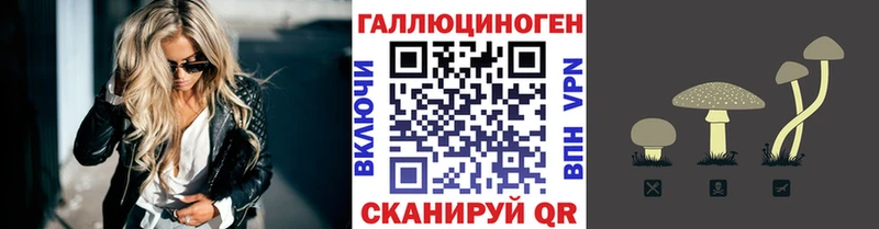 Галлюциногенные грибы MAGIC MUSHROOMS  кракен онион  Киреевск  даркнет сайт 